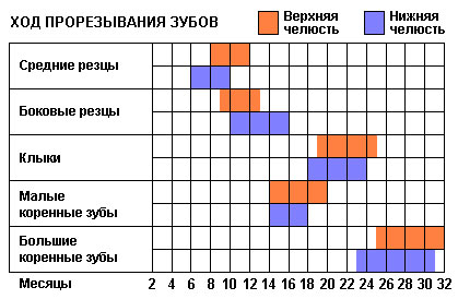 grafik-prorezyvaniya-zubov.jpg